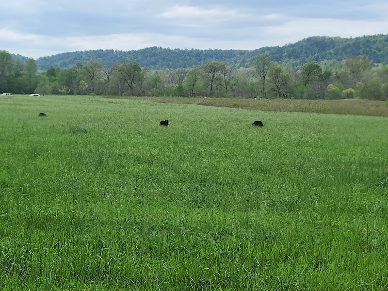 Cades Cove - Cades Cove