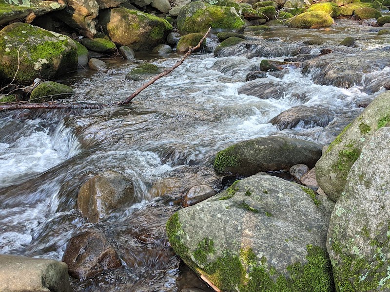 Roaring Fork Motor Nature Trail surrounding landscape