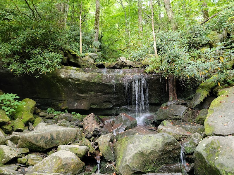 Rainbow Falls Trail outdoor detail