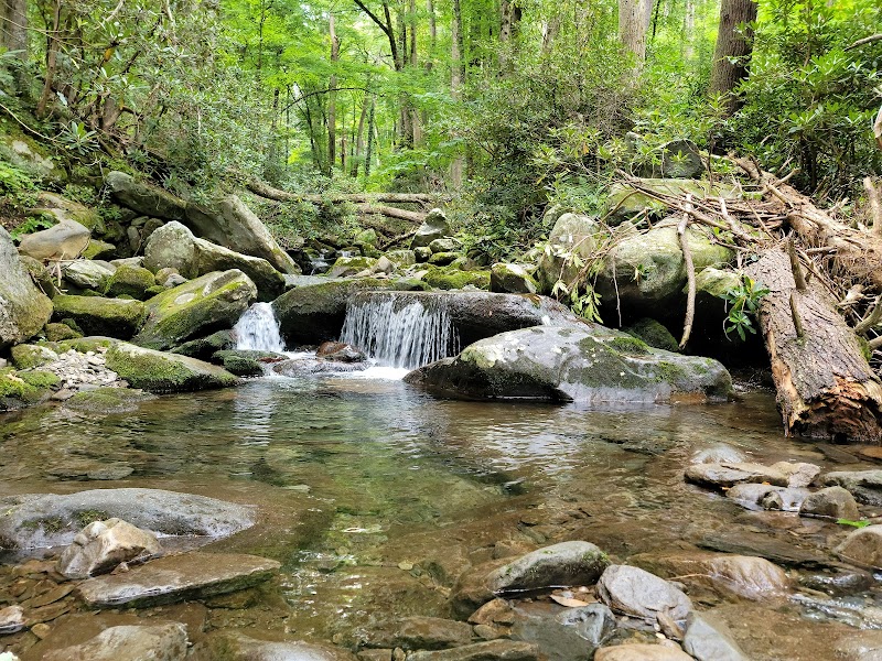 Rainbow Falls Trail surrounding landscape