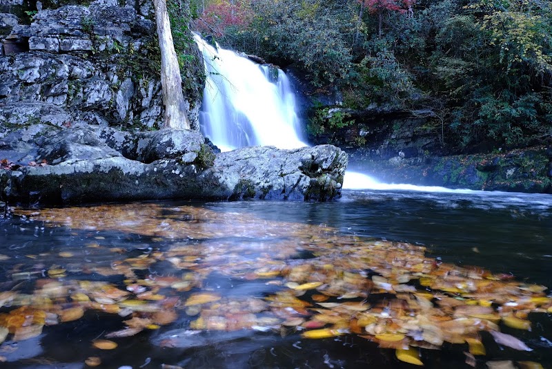 Abrams Falls Trail - Abrams Falls Trail