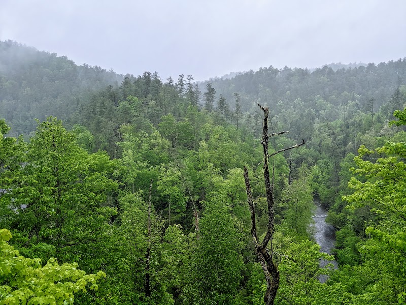 Abrams Falls Trail outdoor detail