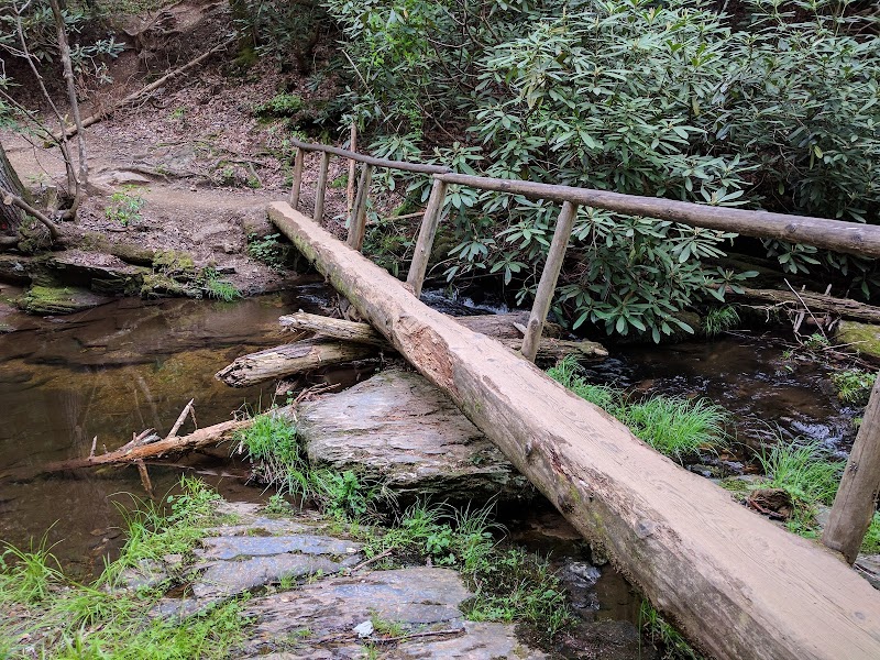 Abrams Falls Trail - Abrams Falls Trail