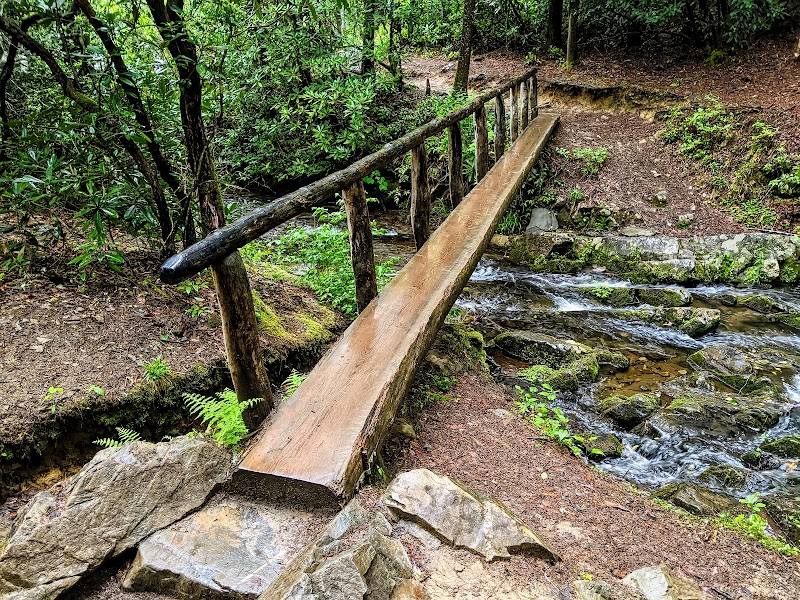Abrams Falls Trail - Abrams Falls Trail