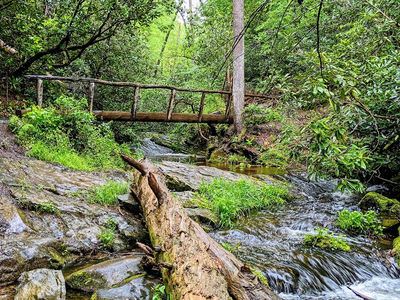 Abrams Falls Trail surrounding landscape