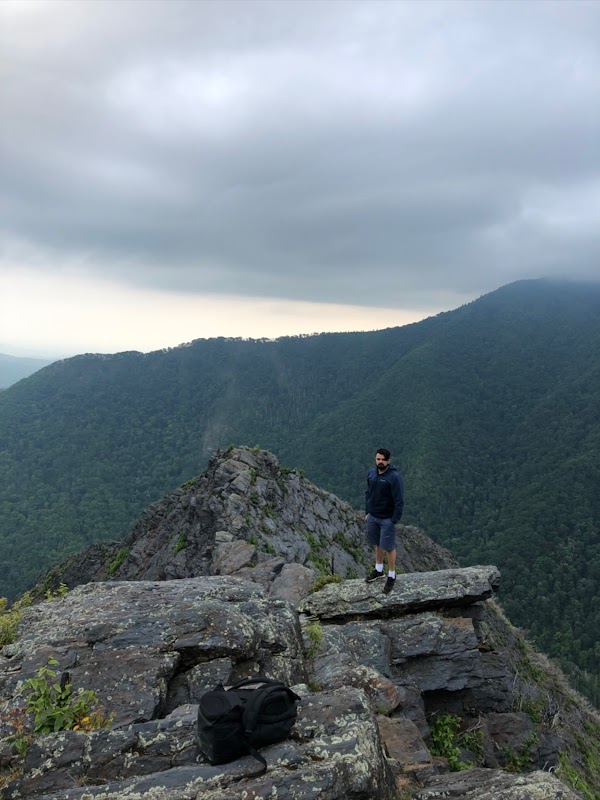 Chimney Tops surrounding landscape