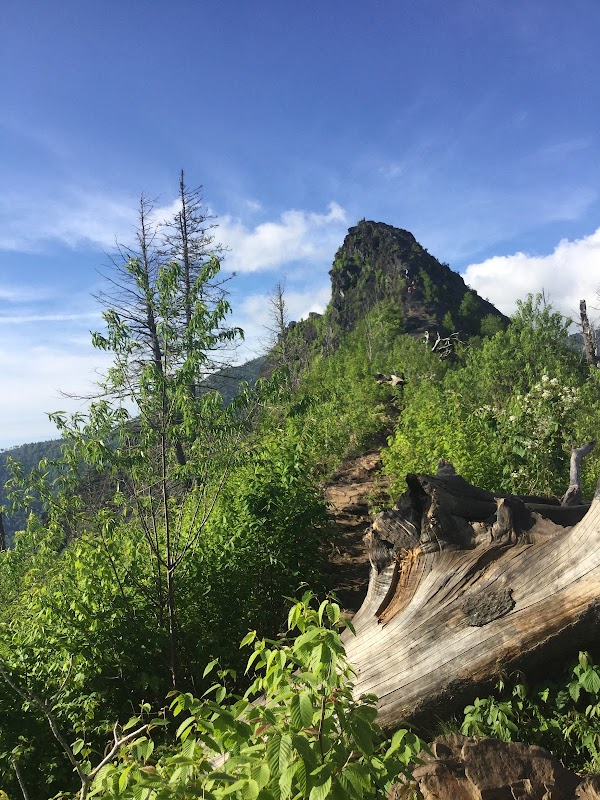 Chimney Tops outdoor detail