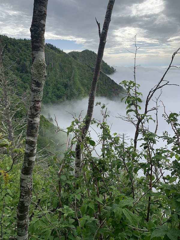 Chimney Tops - Chimney Tops
