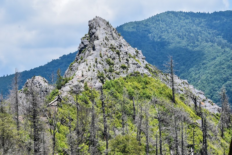 Chimney Tops - Chimney Tops