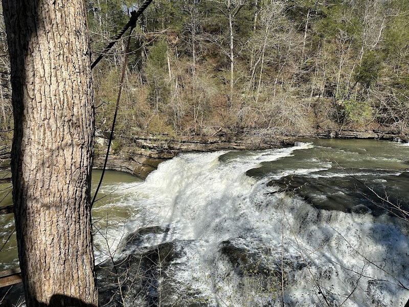 Burgess Falls: Nature's Majestic Cascade surrounding landscape