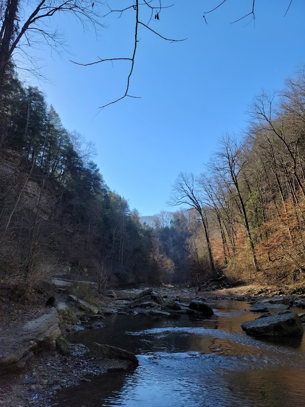 Cummins Falls surrounding landscape