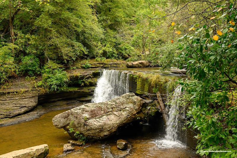 Greeter Falls Waterfall - Greeter Falls Waterfall