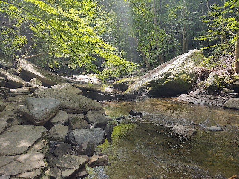 Greeter Falls Waterfall surrounding landscape