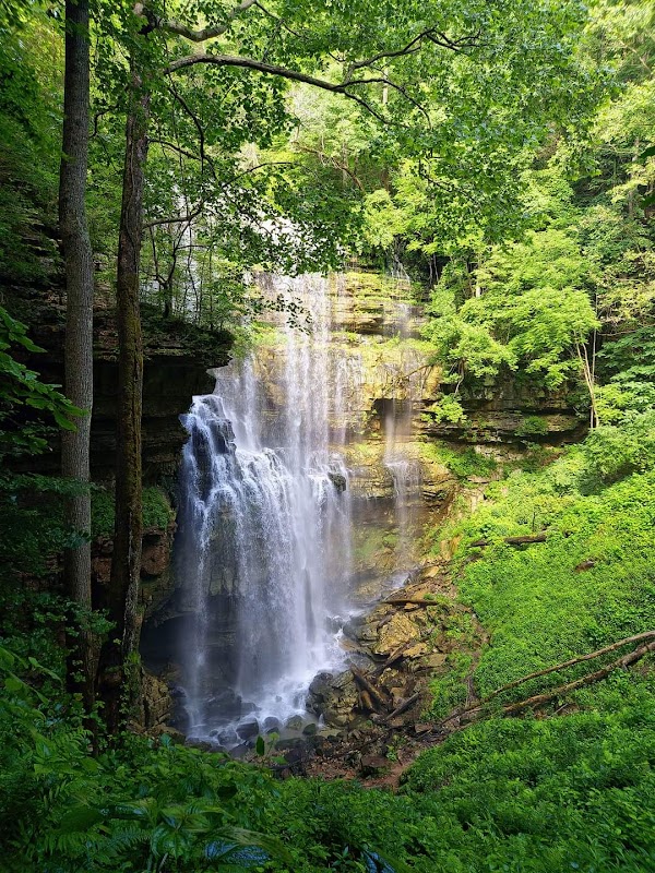 Virgin Falls Trail surrounding landscape