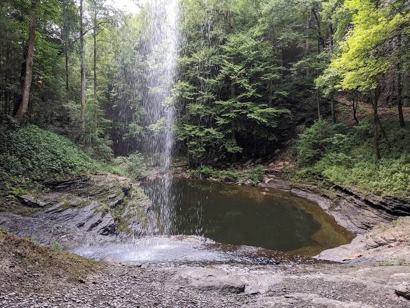 Upper Piney Falls surrounding landscape