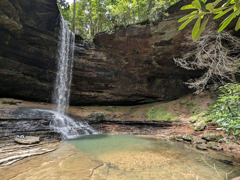 Colditz Cove State Natural Area - Colditz Cove State Natural Area