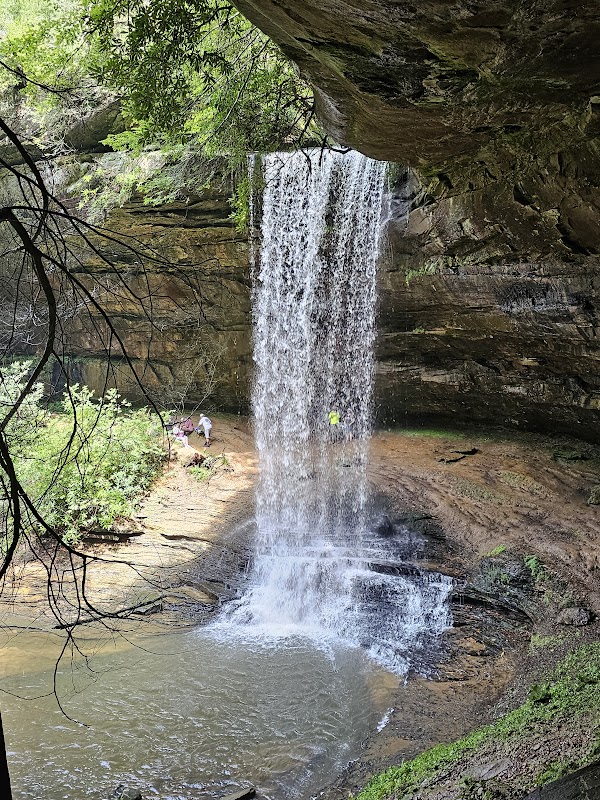 Colditz Cove State Natural Area outdoor detail