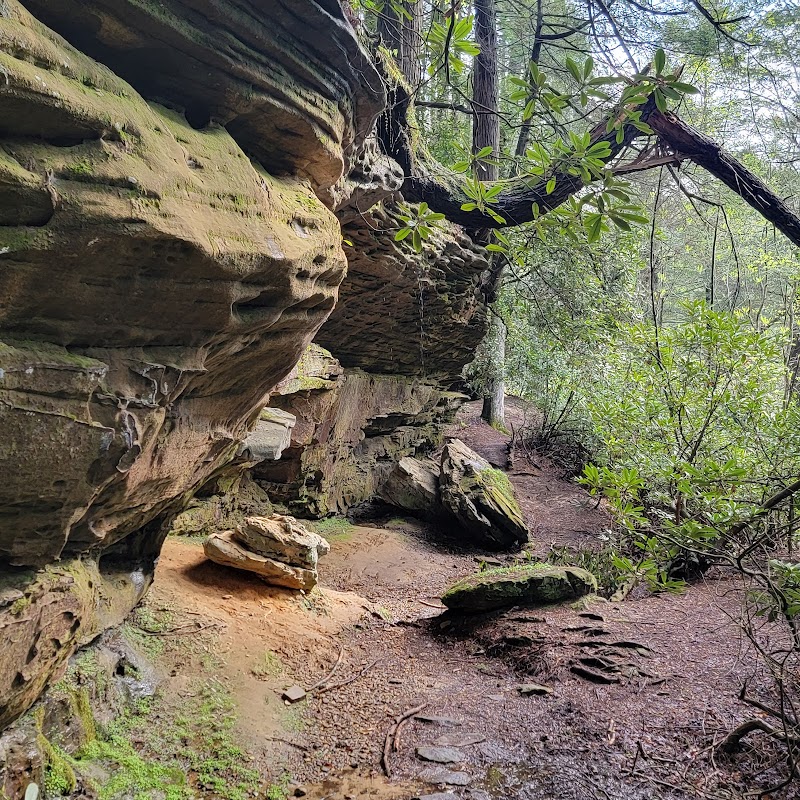Colditz Cove State Natural Area surrounding landscape