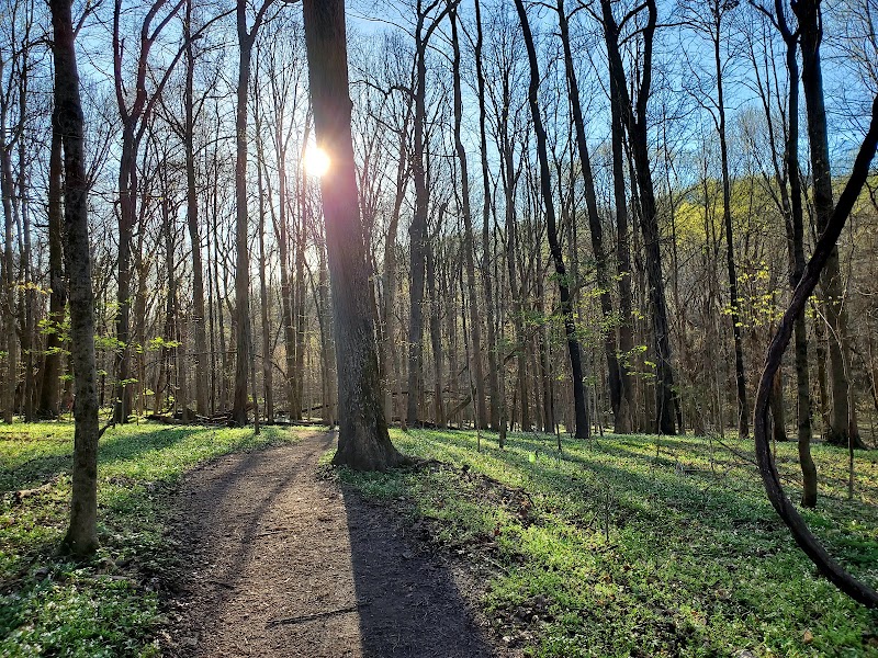 Radnor Lake State Park - Radnor Lake State Park