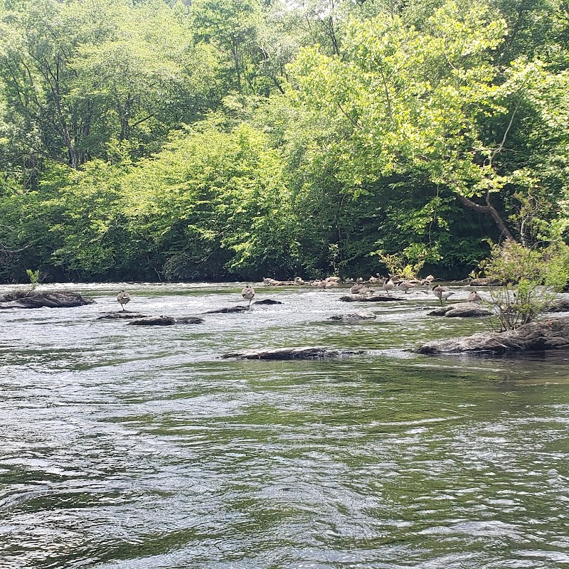 Hiwassee River: Nature's Majestic Flow - Hiwassee River
