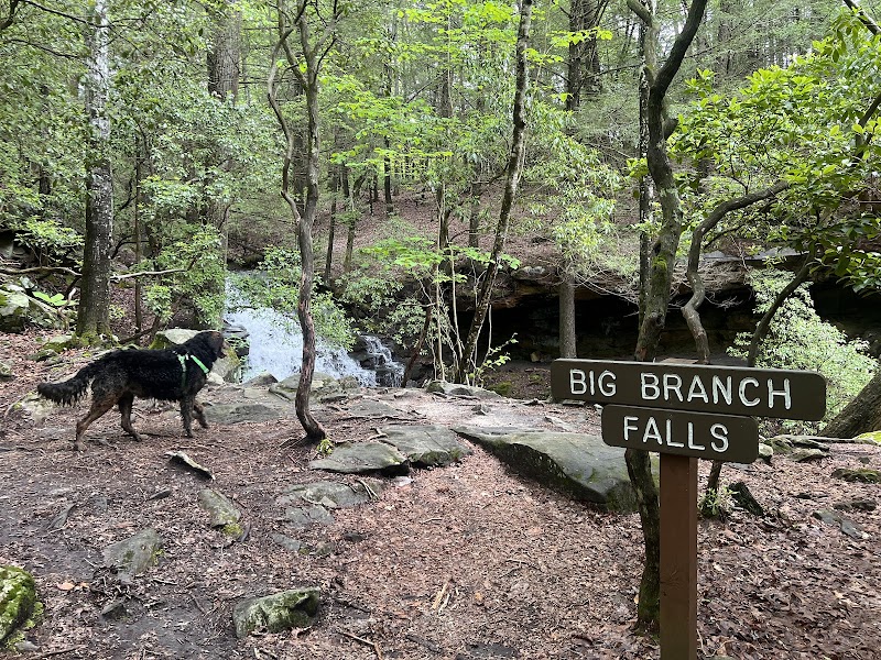 Virgin Falls State Natural Area outdoor detail
