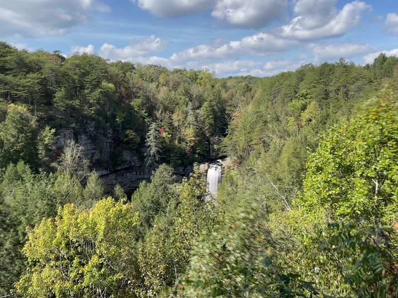 Foster Falls: A Cascade of Wonder outdoor detail