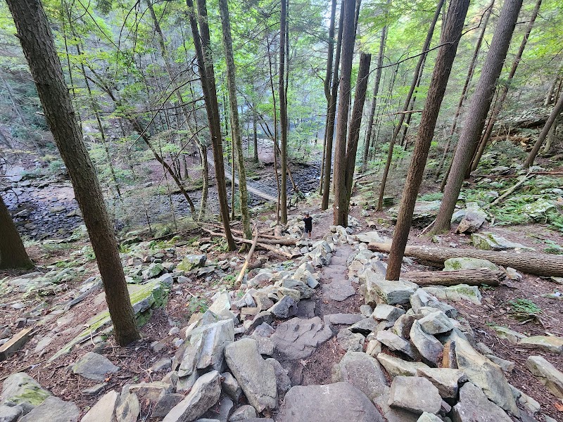 Foster Falls: A Cascade of Wonder surrounding landscape