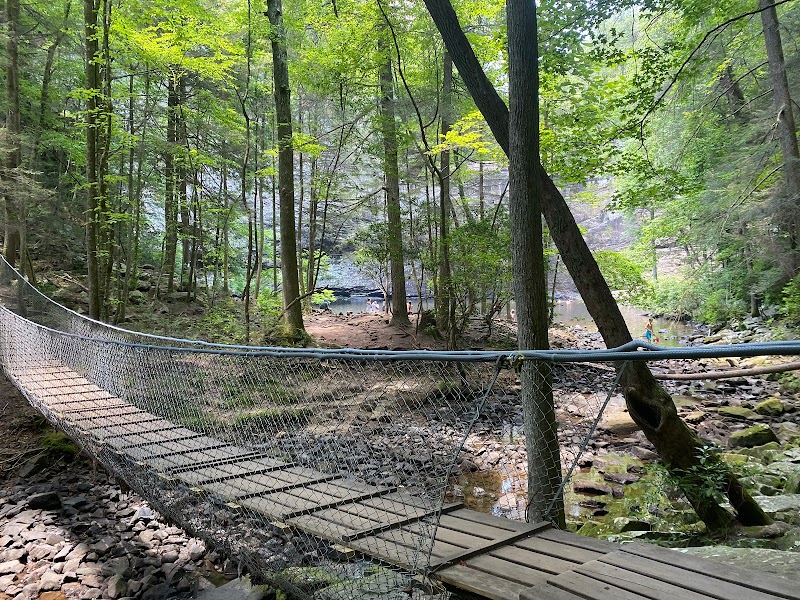 Foster Falls: A Cascade of Wonder - Foster Falls