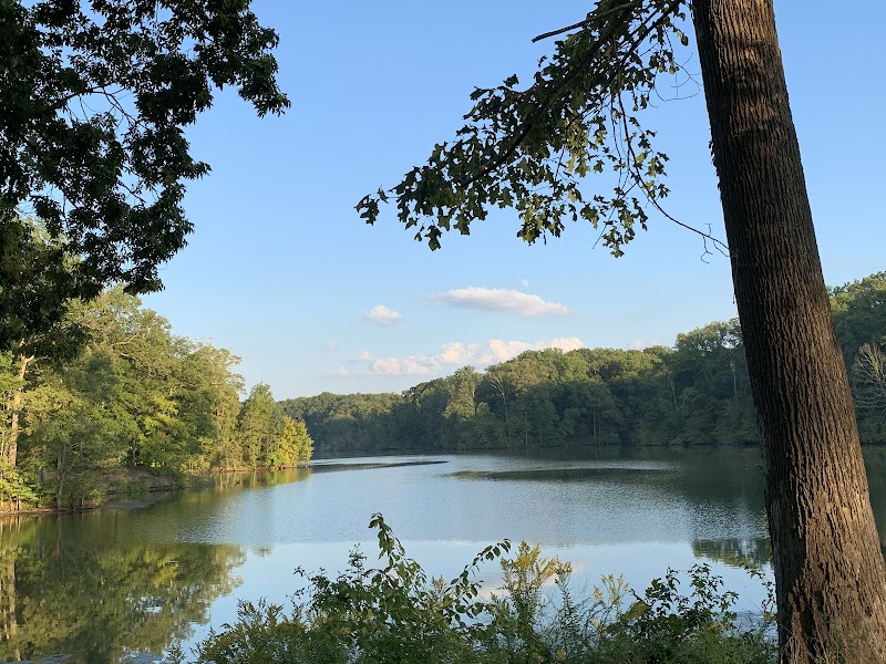 Meeman-Shelby Forest State Park - Meeman-Shelby Forest State Park