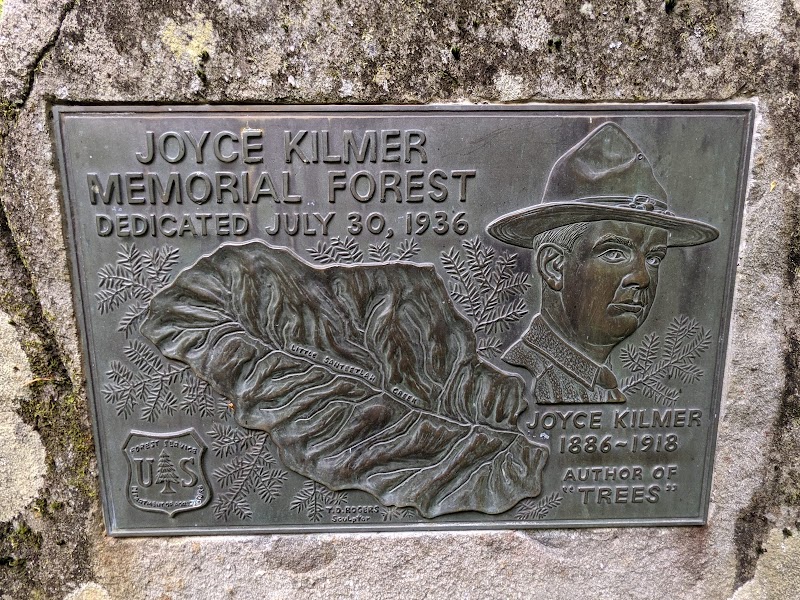 Joyce Kilmer Memorial Forest outdoor detail