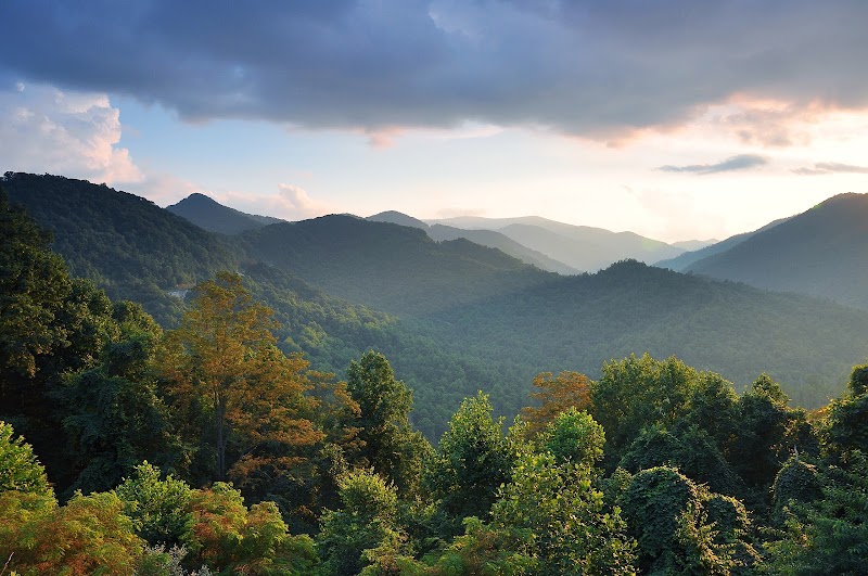 Joyce Kilmer Memorial Forest - Joyce Kilmer Memorial Forest, Cheoah Ranger District, Nantahala National Forest