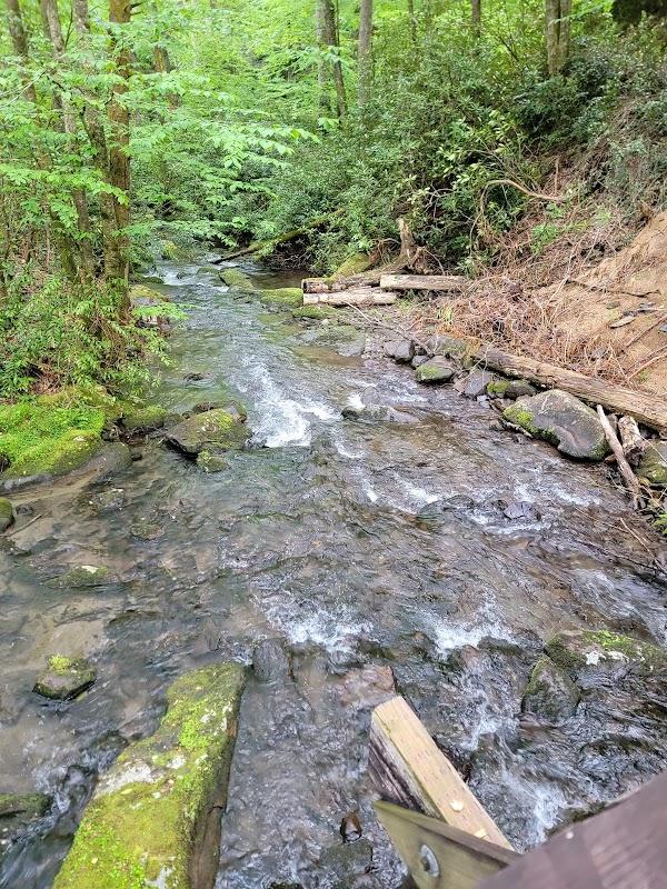Joyce Kilmer Memorial Forest surrounding landscape