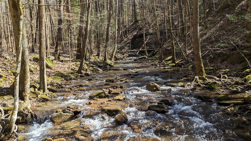 Frozen Head State Park - Frozen Head State Park