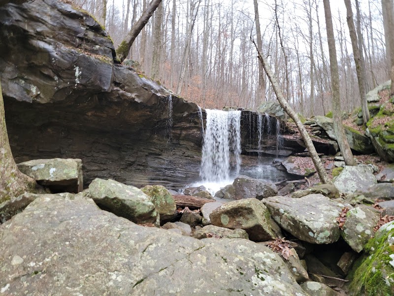 Frozen Head State Park - Frozen Head State Park