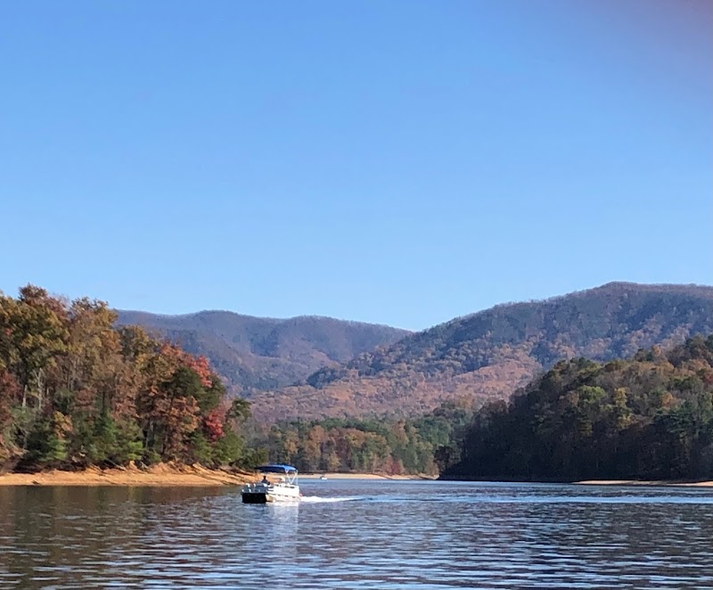 South Holston Lake - South Holston Lake
