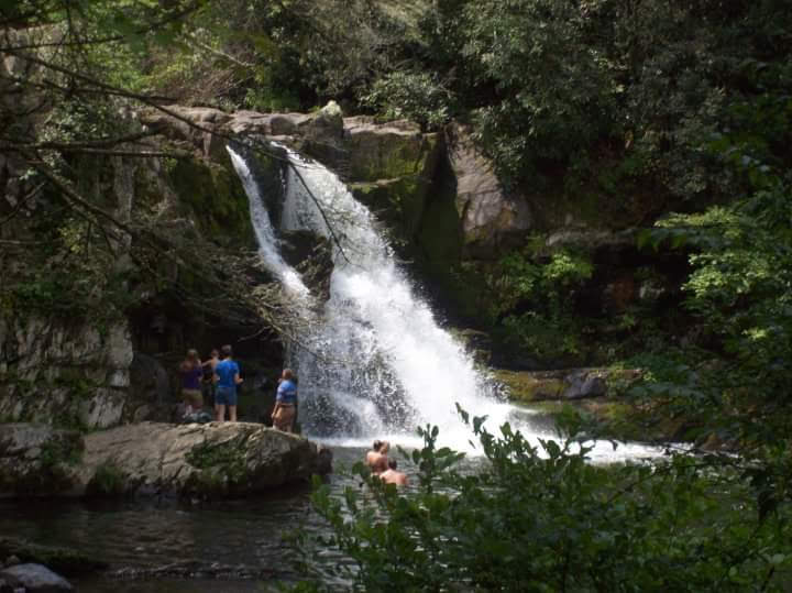 Bald River Falls surrounding landscape