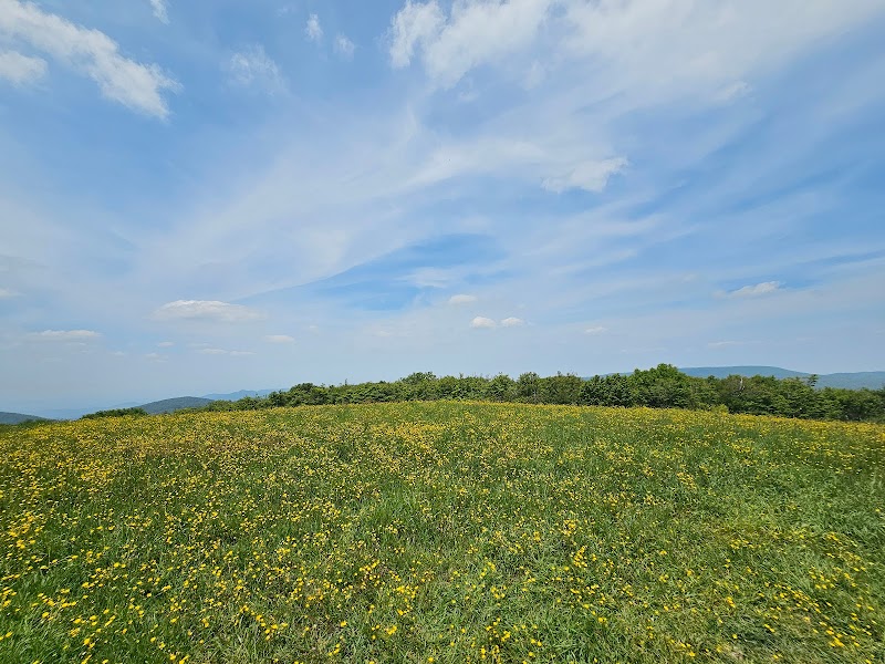 Huckleberry Knob - Huckleberry Knob
