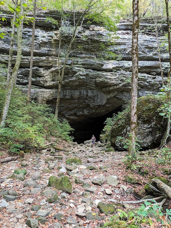 Lost Creek Falls & Cave Trailhead surrounding landscape