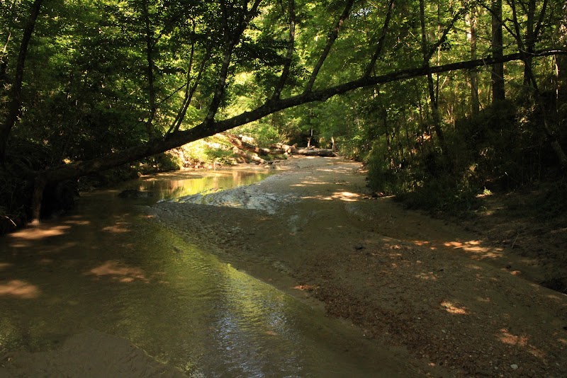 Clark Creek Natural Area outdoor detail