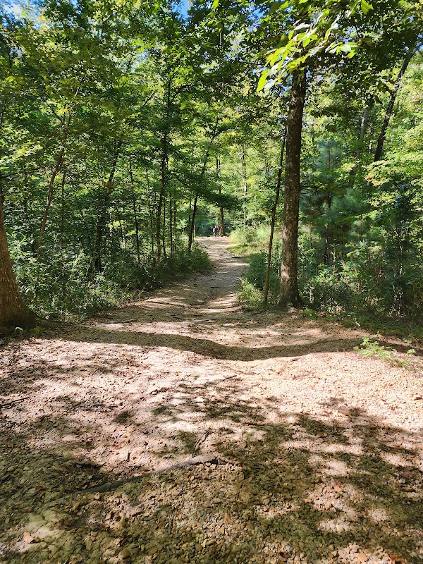 Clark Creek Natural Area surrounding landscape