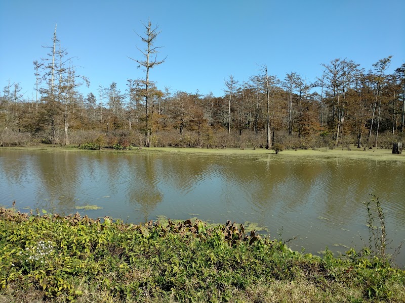St. Catherine Creek National Wildlife Refuge surrounding landscape