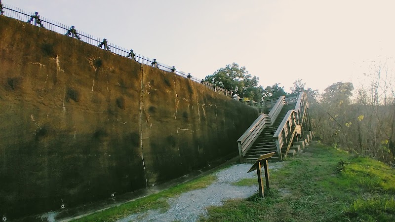 Natchez Bluff Walking Trail surrounding landscape