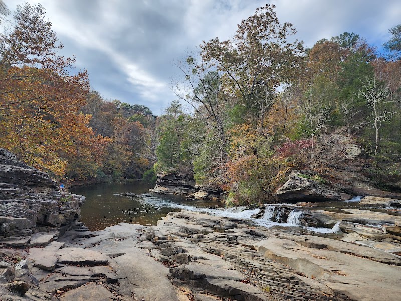 Turkey Creek Nature Preserve - Turkey Creek Nature Preserve