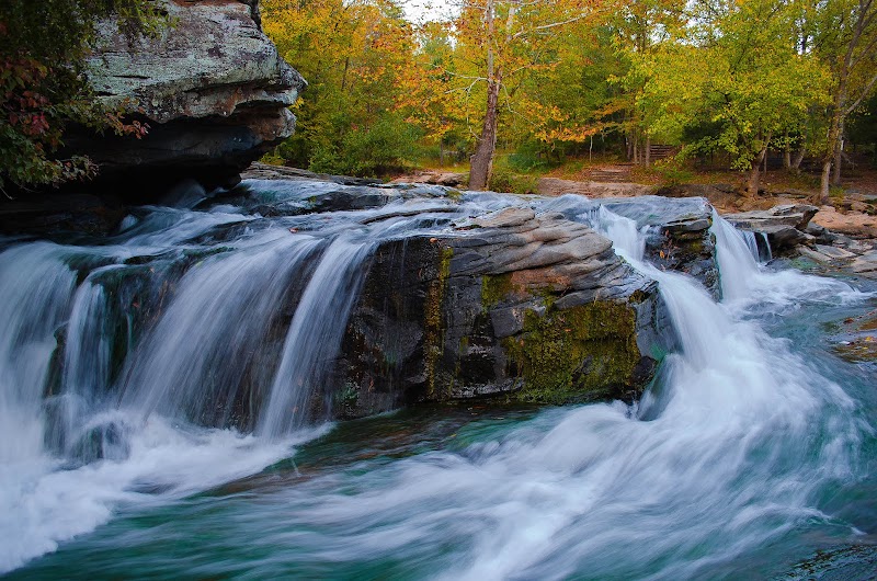 Turkey Creek Nature Preserve - Turkey Creek Nature Preserve