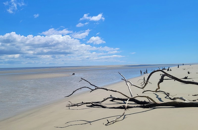 Saint Catherines Island - Saint Catherines Island