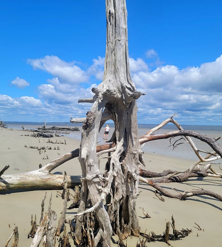 Saint Catherines Island - Saint Catherines Island