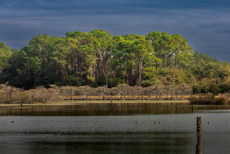 Harris Neck National Wildlife Refuge - Harris Neck National Wildlife Refuge