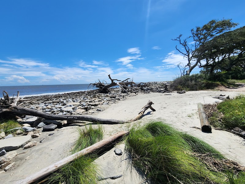 Driftwood Beach: A Natural Masterpiece outdoor detail