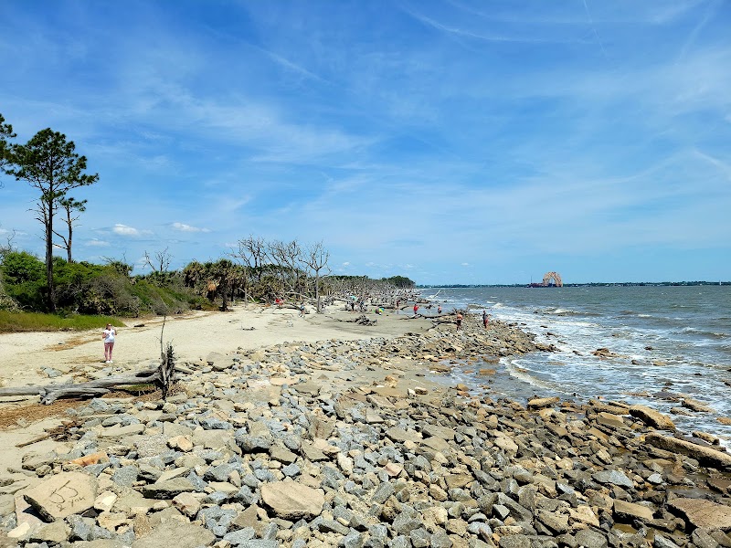 Driftwood Beach: A Natural Masterpiece - Driftwood Beach