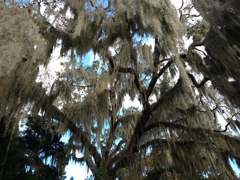 Gascoigne Bluff Park - Gascoigne Bluff Park